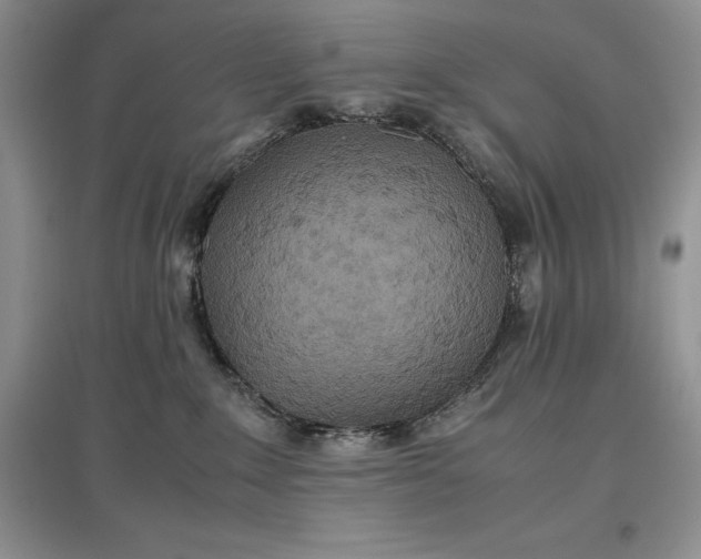 X0000097600235200803141923