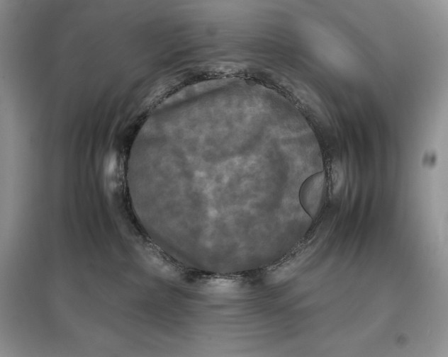 X0000097600236200803141923