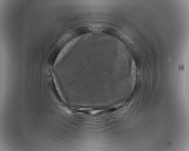 X0000097600237200803141923