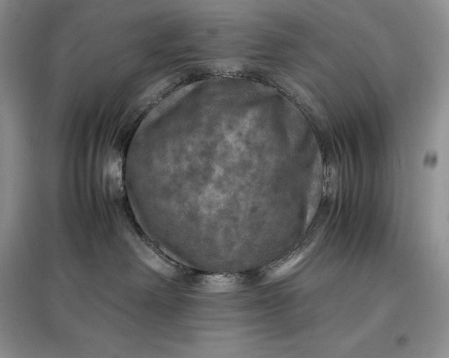 X0000097600238200803141923