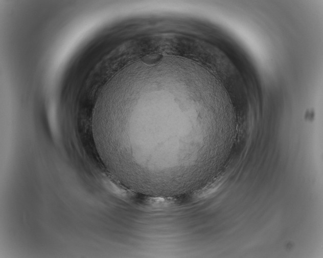 X0000097600239200803141923