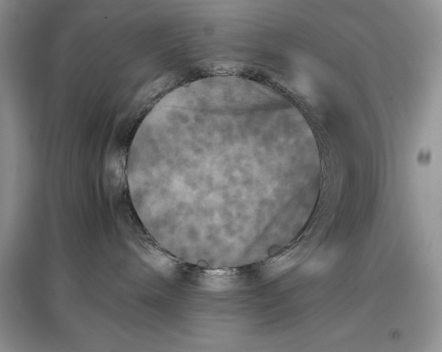 X0000097600240200803141923