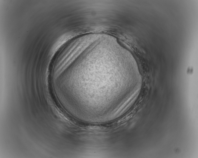X0000097600242200803141923