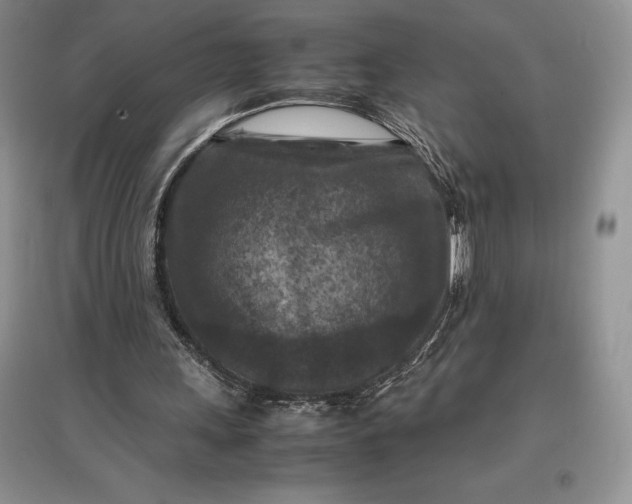 X0000097600243200803141923