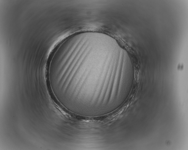 X0000097600244200803141923
