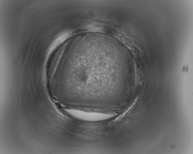 X0000097600245200803141923
