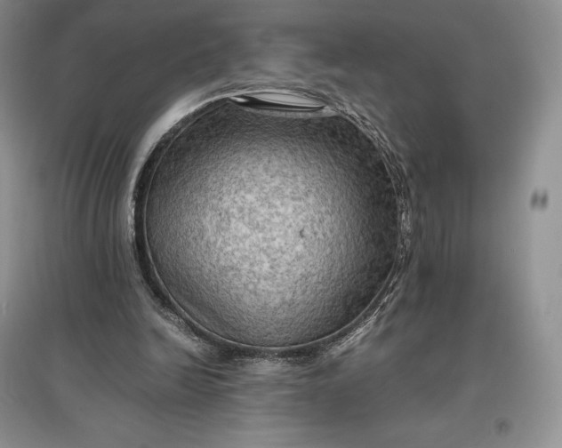 X0000097600246200803141923