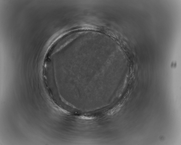 X0000097600247200803141923