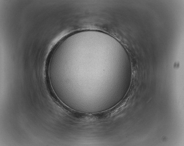 X0000097600248200803141923