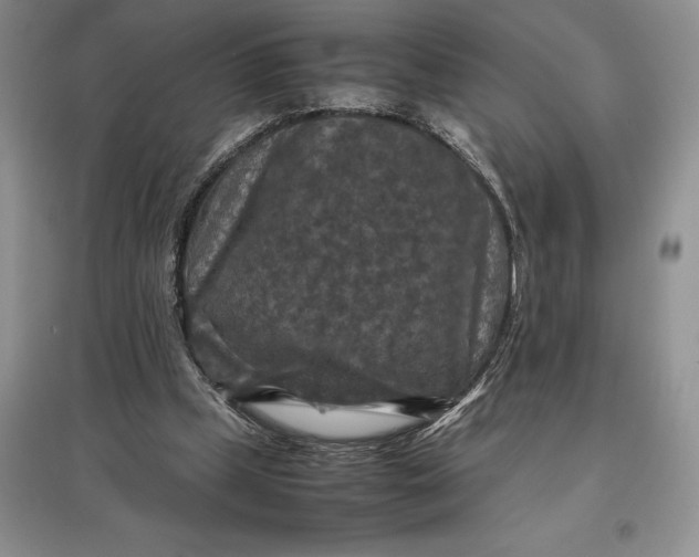 X0000097600249200803141923