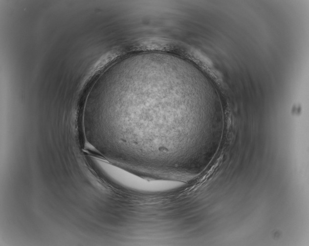 X0000097600250200803141923