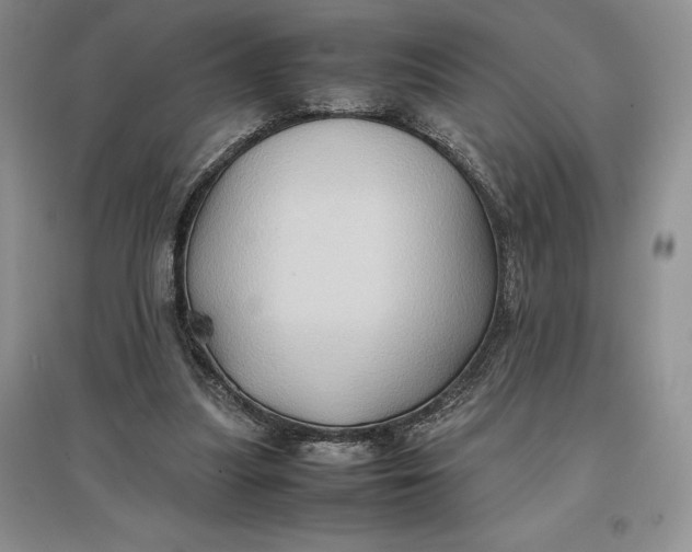 X0000097600251200803141923