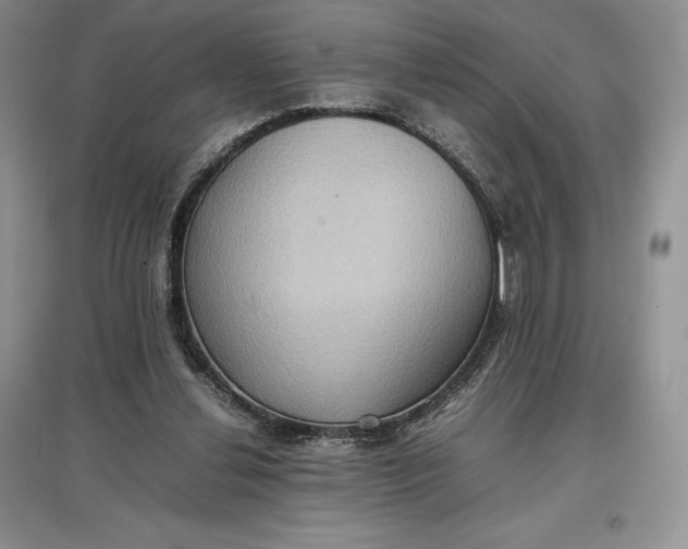 X0000097600252200803141923