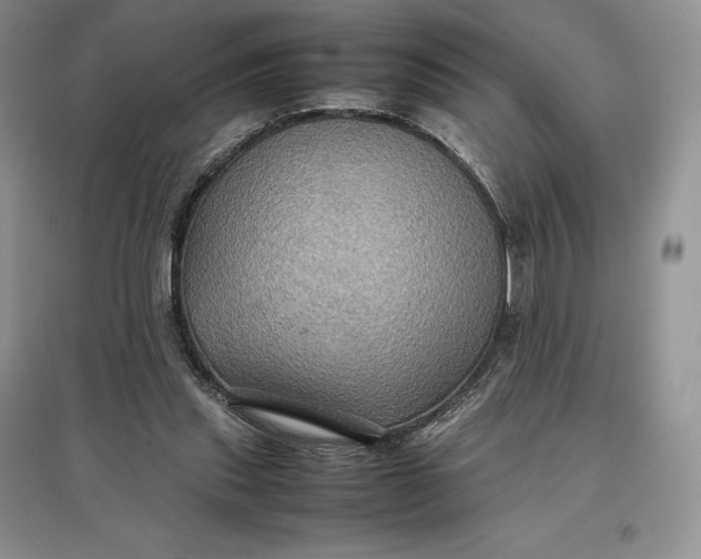 X0000097600253200803141923