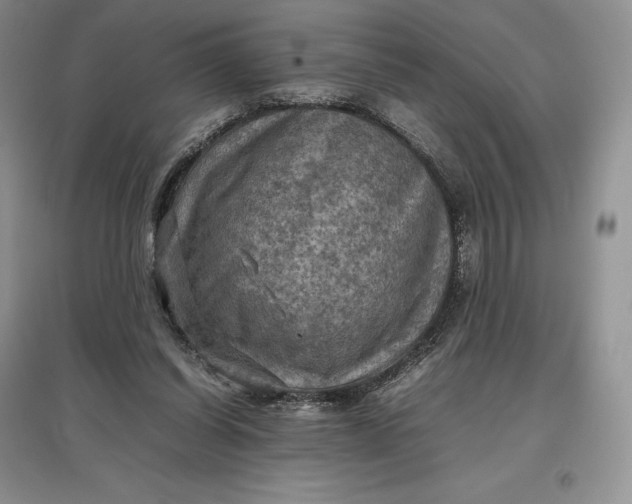 X0000097600254200803141923