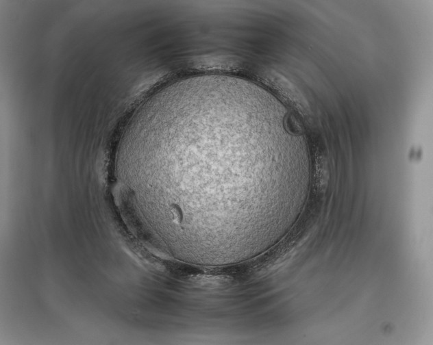 X0000097600255200803141923