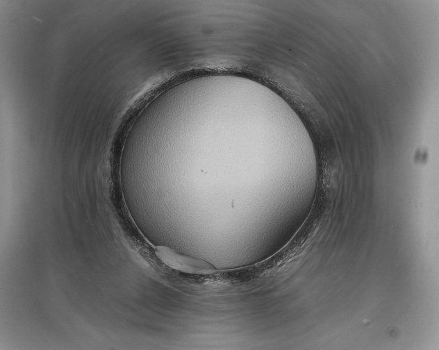 X0000097600256200803141923