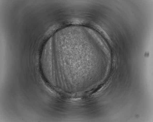X0000097600257200803141923