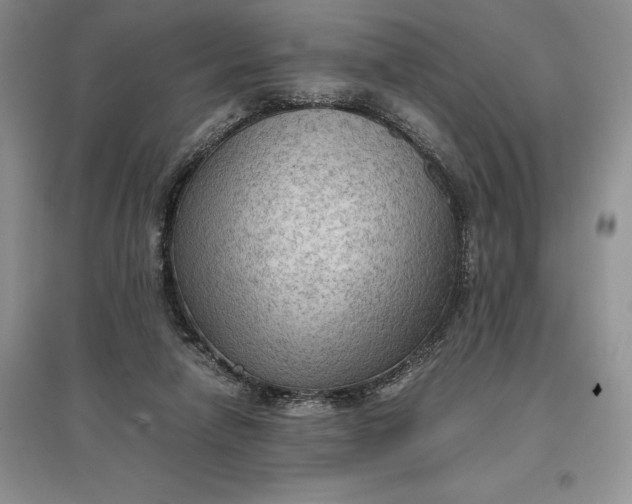 X0000097600258200803141923