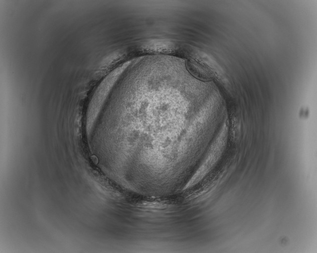 X0000097600259200803141923