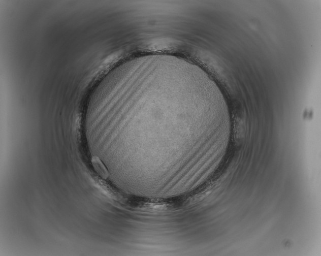 X0000097600260200803141923