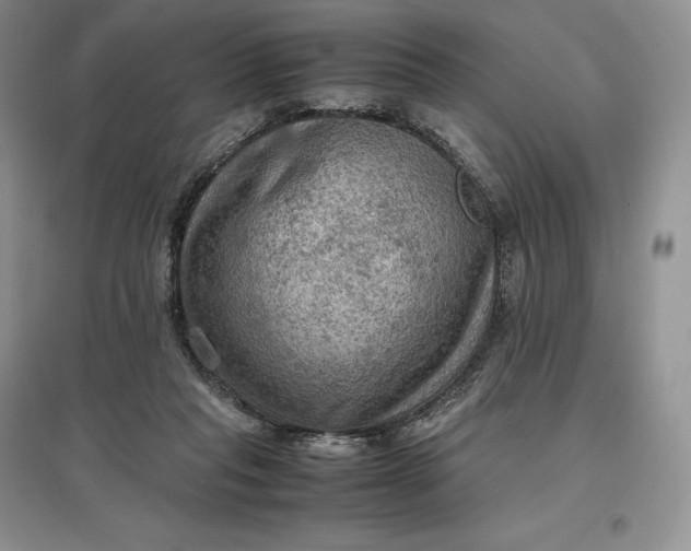 X0000097600261200803141923