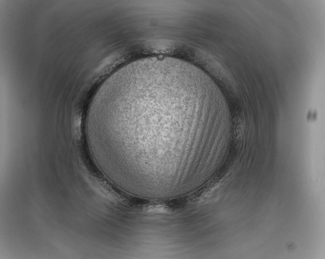 X0000097600262200803141923