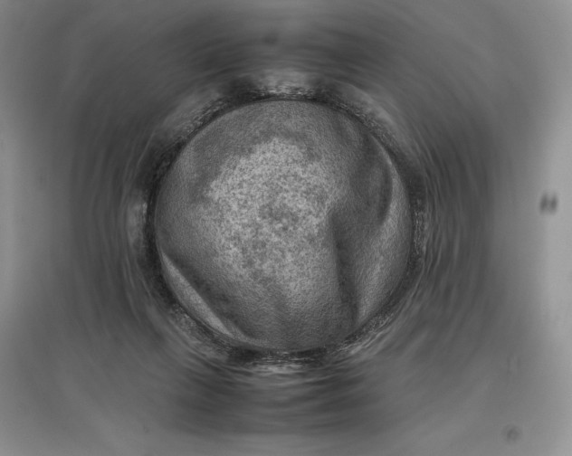 X0000097600263200803141923
