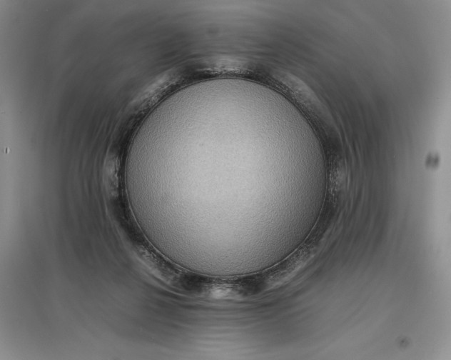 X0000097600264200803141923