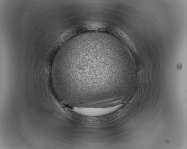 X0000097600265200803141923