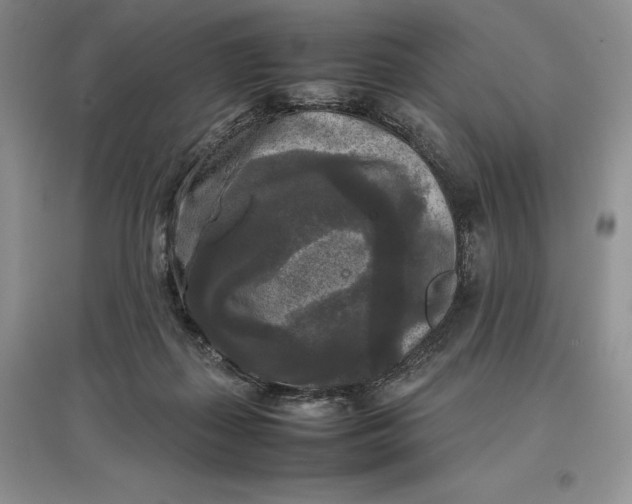 X0000097600267200803141923