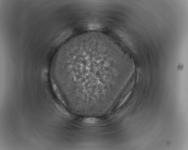 X0000097600269200803141923
