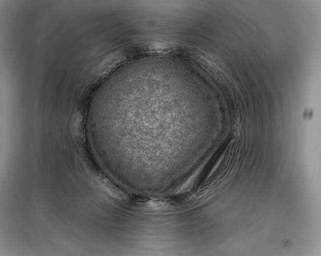 X0000097600270200803141923