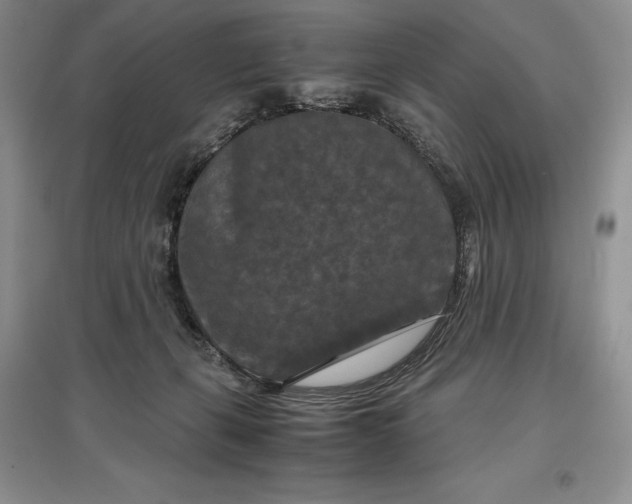 X0000097600271200803141923