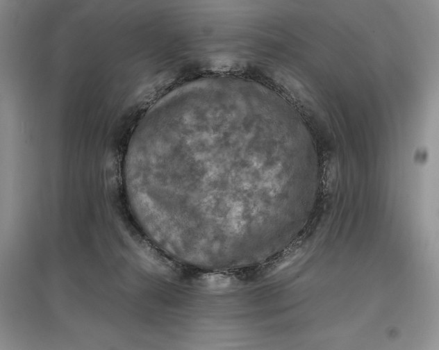 X0000097600272200803141923