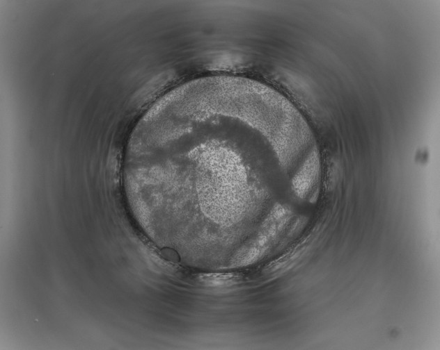 X0000097600273200803141923