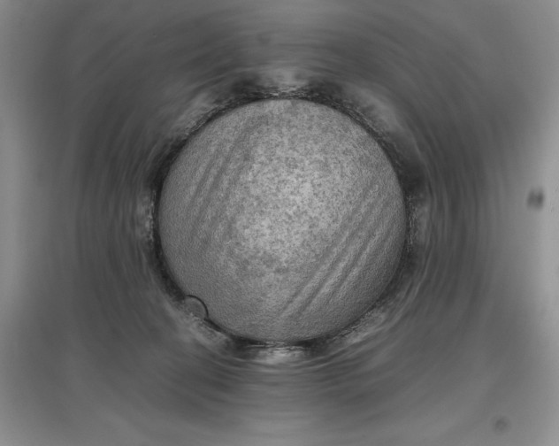X0000097600274200803141923