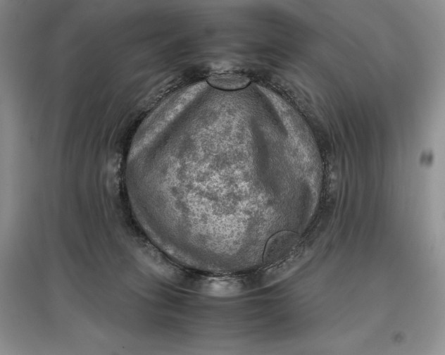 X0000097600275200803141923