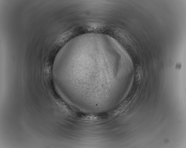 X0000097600276200803141923
