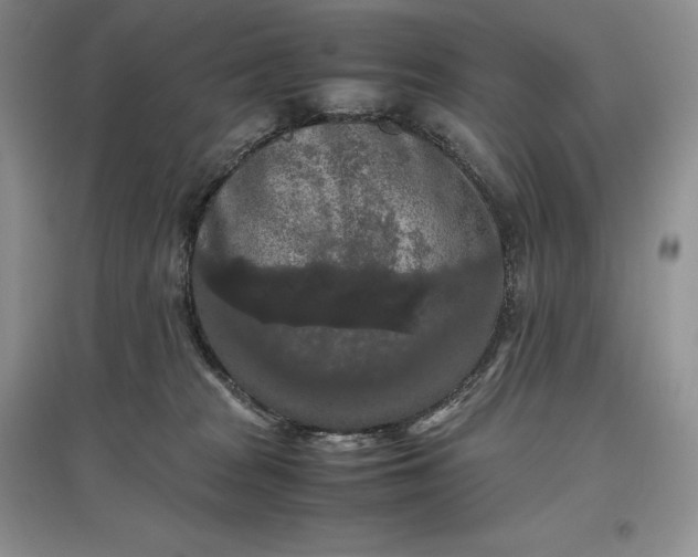X0000097600277200803141923
