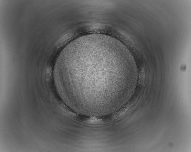 X0000097600278200803141923