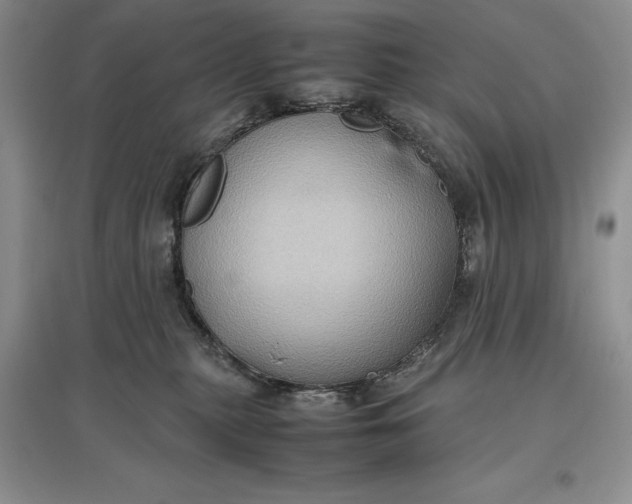 X0000097600279200803141923