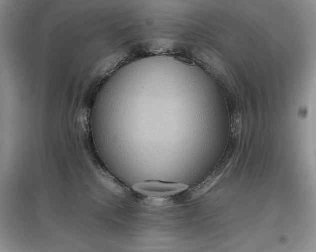 X0000097600280200803141923