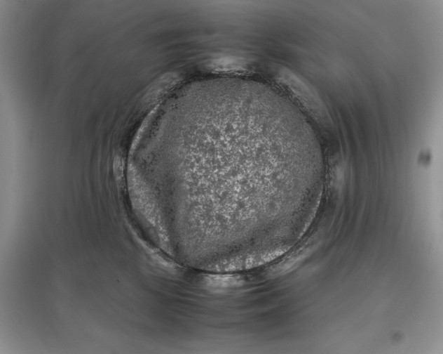 X0000097600281200803141923