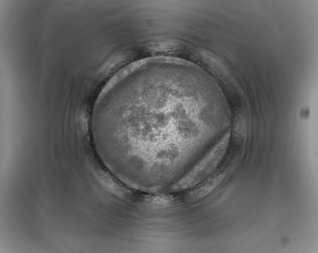 X0000097600282200803141923