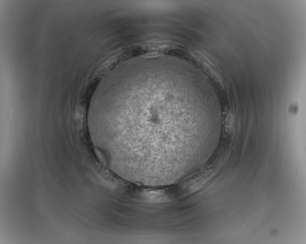 X0000097600283200803141923