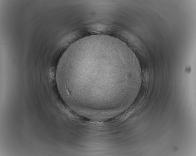 X0000097600284200803141923