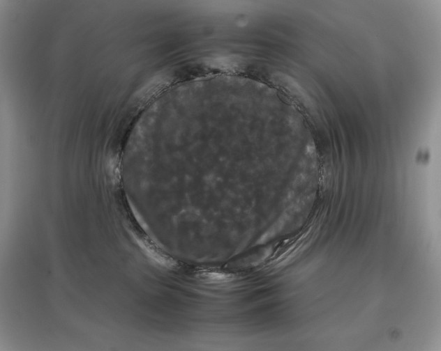 X0000097600285200803141923
