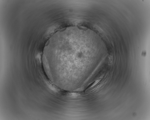 X0000097600286200803141923