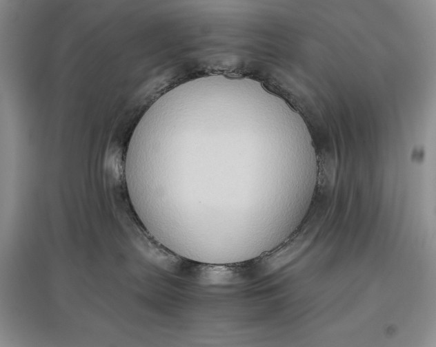 X0000097600287200803141923